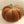 Brown Pumpkin / 18cm