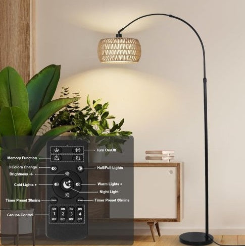 3-Color Temperature Adjustable Floor Lamp