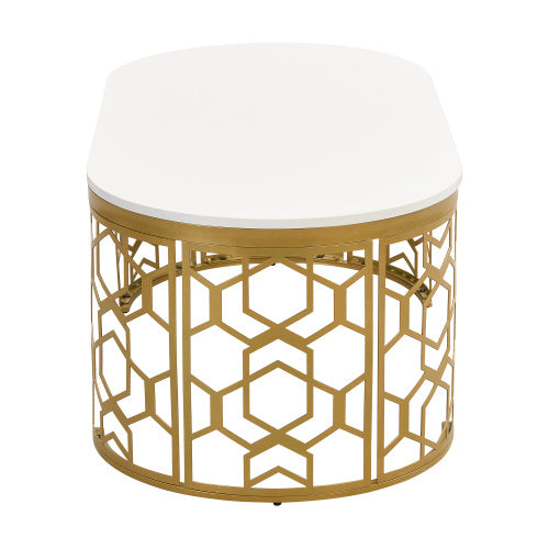 Oval Shaped Coffee Table for Living Room