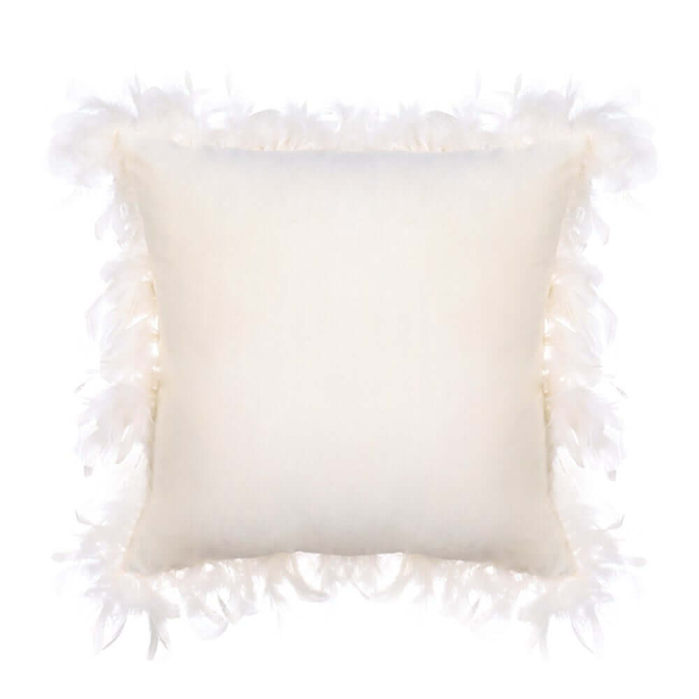 Velvet feather pillowcover home pillow