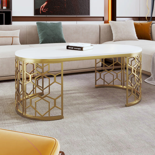 Oval Shaped Coffee Table for Living Room