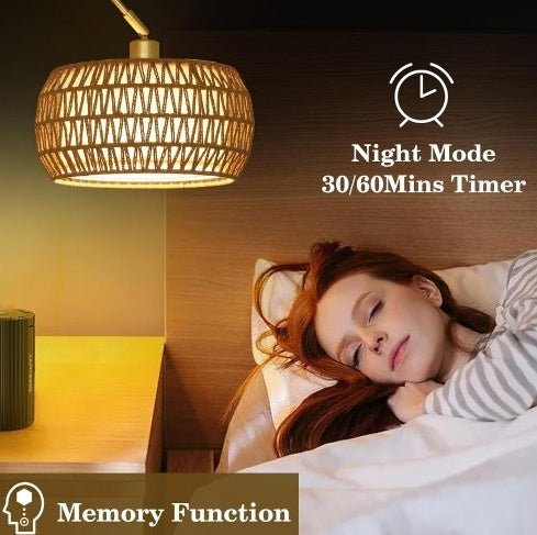 3-Color Temperature Adjustable Floor Lamp